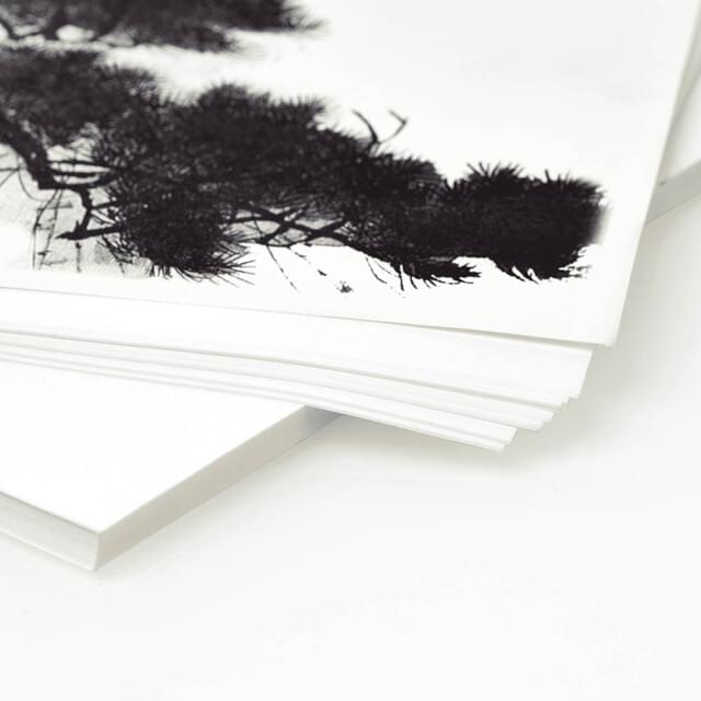 Rice Paper
