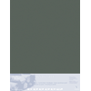 CF0396009