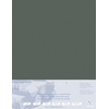 CF0496009