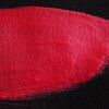 PLP25RI