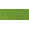 MT693226