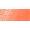 FC117617
