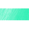 FC117656