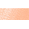 FC117689