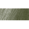 FC117775
