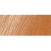 FC117783