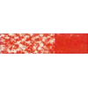 CARP040