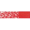 CARP019