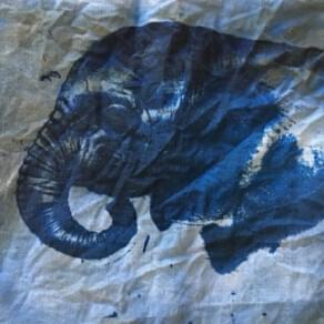 Cyanotype