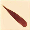 OXID150FE