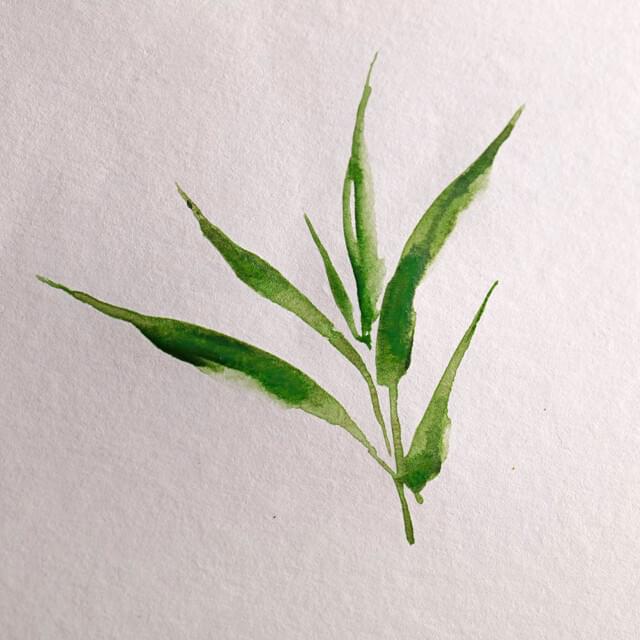 Watercolour Paper - Bamboo