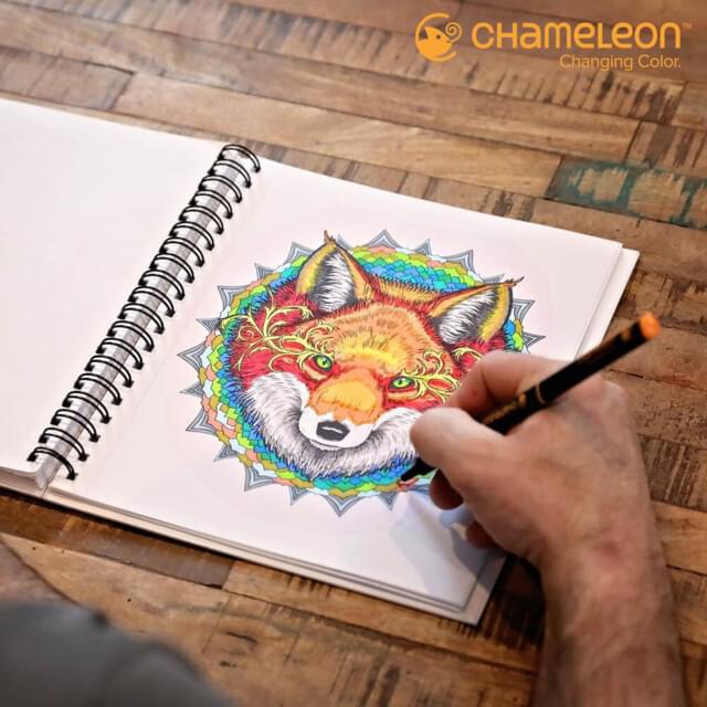 Chameleon Fineliners